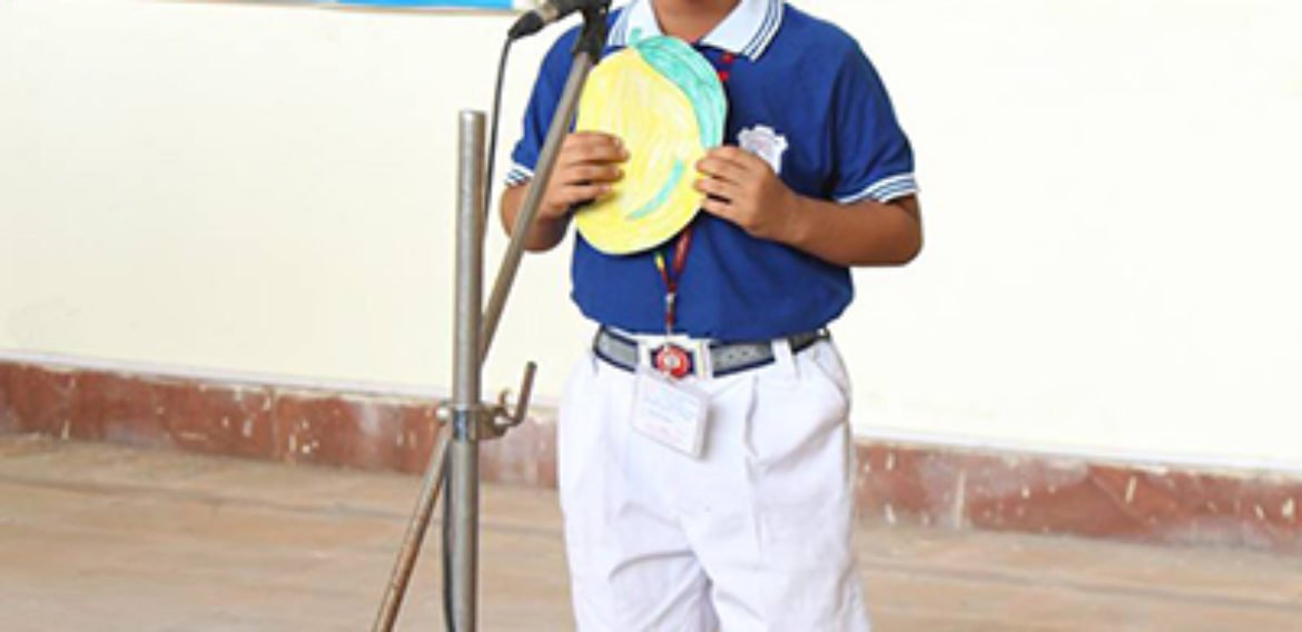 Show and Tell