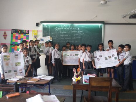 Science Group Activity  in Class IV