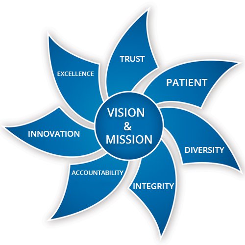 Vidhyashram Vision