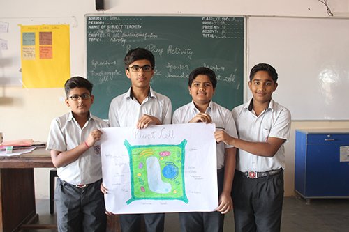 Science Activity in Class VIII A, B & C