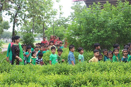 Feel the Green (Kidz)