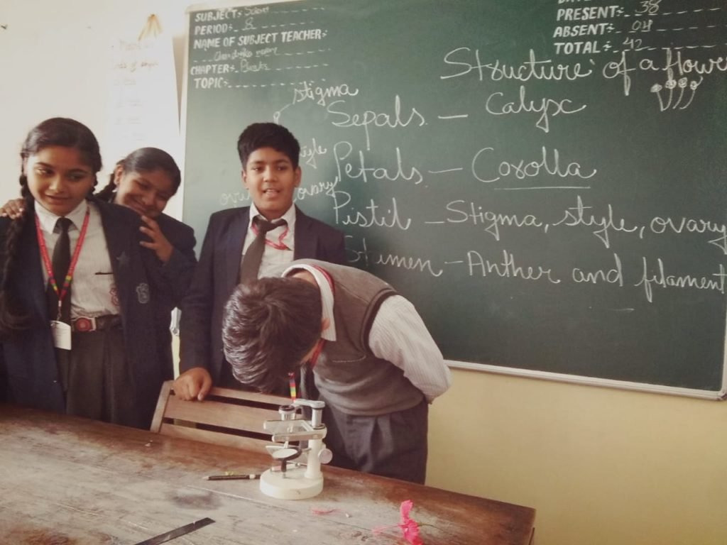 Science Activity class VI (28-11-2019)