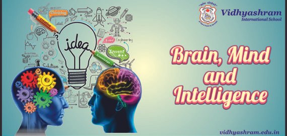 Brain, Mind and Intelligence